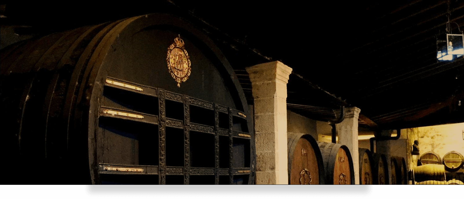 Enoturismo y visitar bodegas